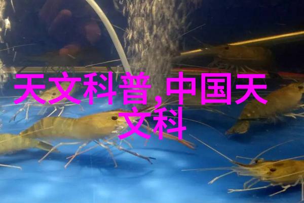 电力消耗对电热蒸汽发生器性能有什么影响吗