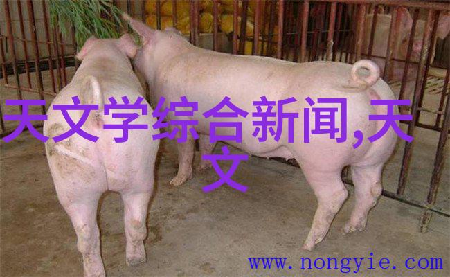 探究pe管件全新料生产厂家的技术革新与产业发展前景