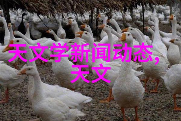 隐秘之光创意暗卫卫生间装修效果图片欣赏