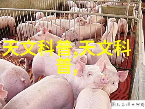 医用水处理净化设备确保医疗环境的洁净与安全