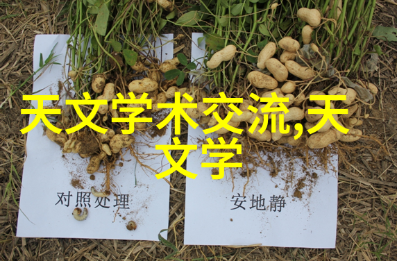 多功能流化床技术革新提升药物制造效率与质量