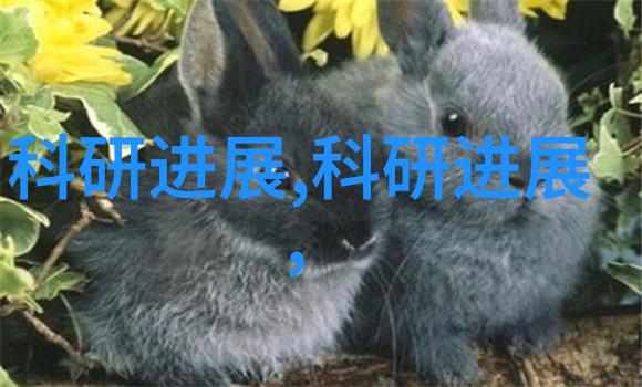 贵州实验室设备发展新纪元