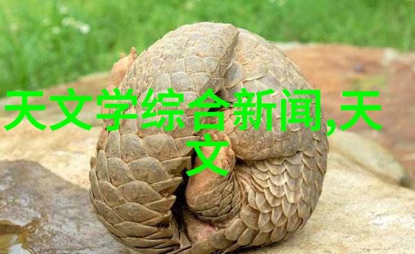 颗粒剂机械生产线的优化与应用实例
