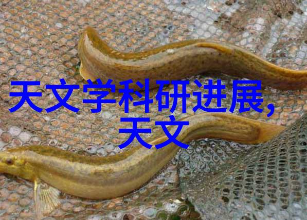 通用技术实验室设备我这边新买了一套超级棒的通用技术实验室设备你要不要来看看