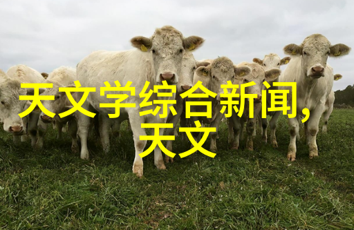 广东职业技术学院的洗衣机梦想七年前就有了许愿的三筒海信