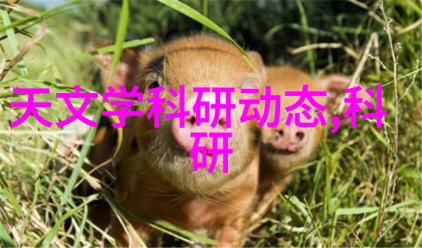 天劫之巅撼天记中的英雄征途