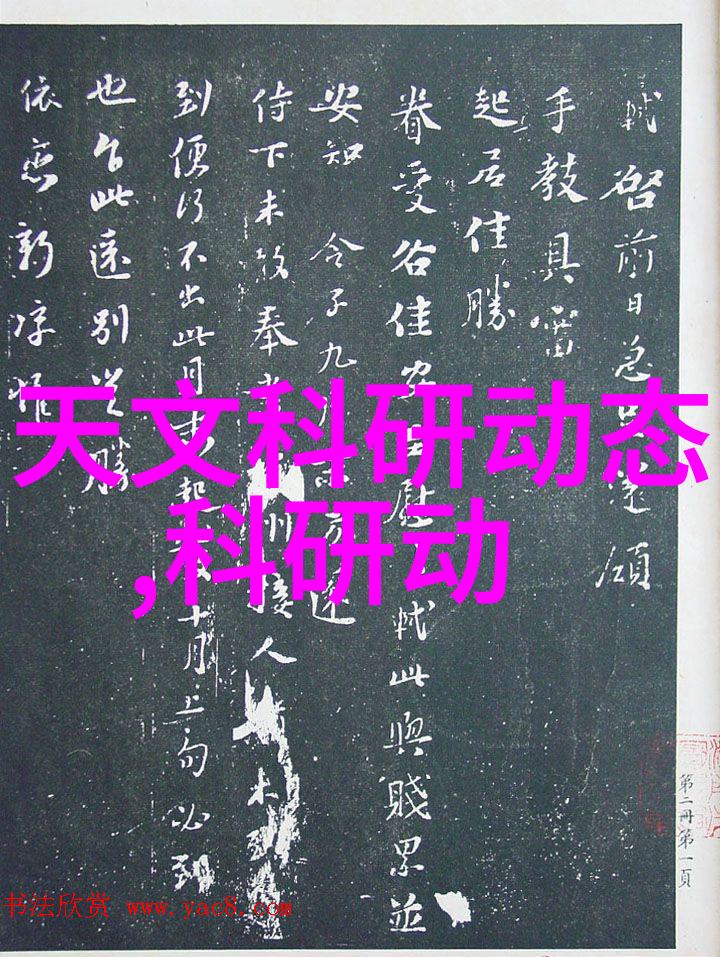 社会实践报告撰写指南构建全面的项目评估框架
