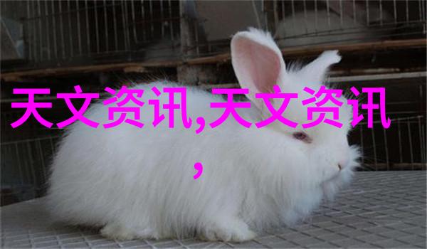 排污许可证管理系统高效环境保护的关键措施