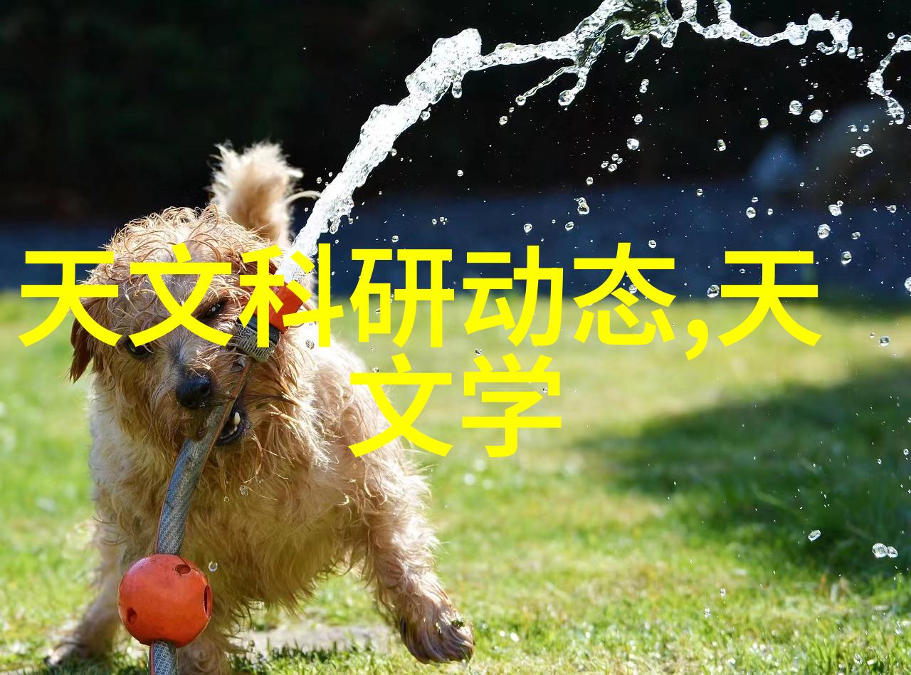 立式沉降离心机技术与应用概述