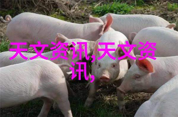 写报告书的内容有哪些-撰写高效报告书指南重要部分解析与实用技巧