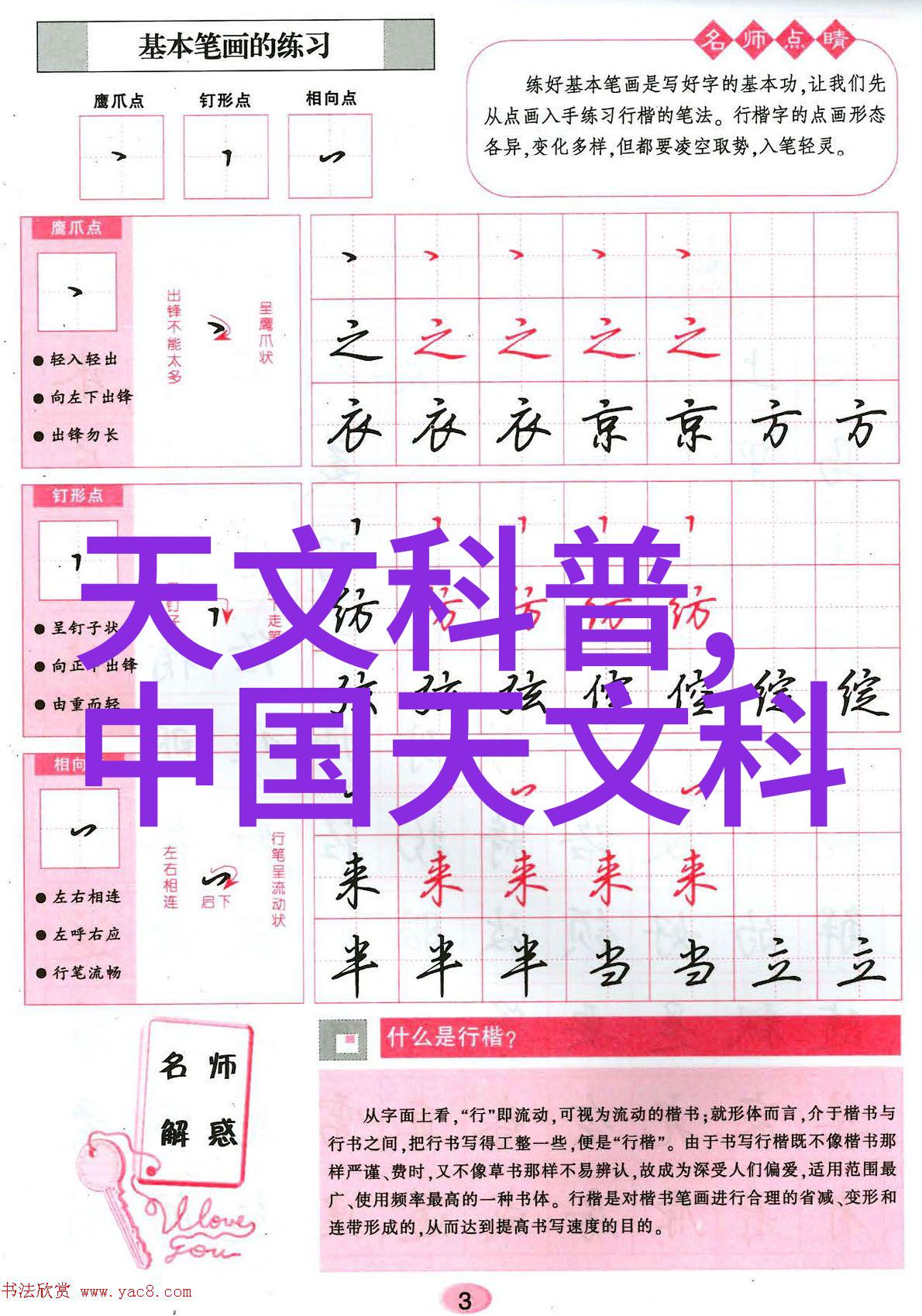 今日不锈钢304价格表市场动态与预测分析