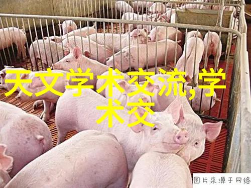 对于初学者来说如何开始使用并从中获益一探究竟