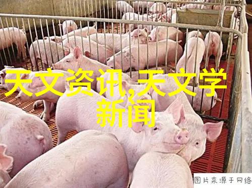 为什么丝网孔隙率对织物性能影响巨大
