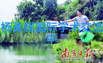 实验室纯水设备厂家-高纯度水处理技术的创新与实践