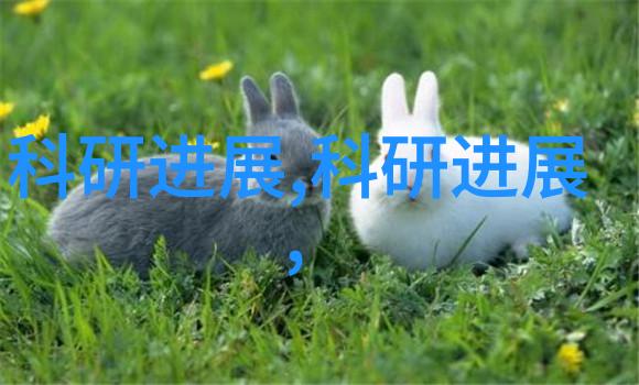 华为光刻机新纪元突破性技术引领芯片未来