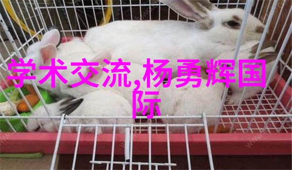 回收二手机械设备-重生机器二手手机械设备的回收价值