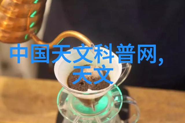 芯片的独特之处与应用广泛性探究