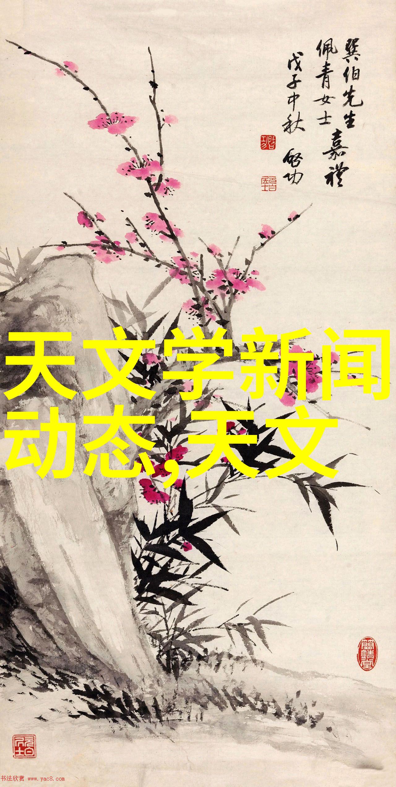镜面与钢骨无缝不锈钢管的反差之谜