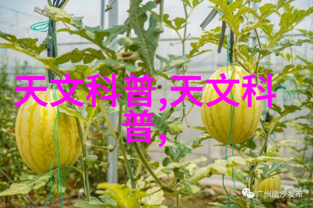 水管世界流淌的选择