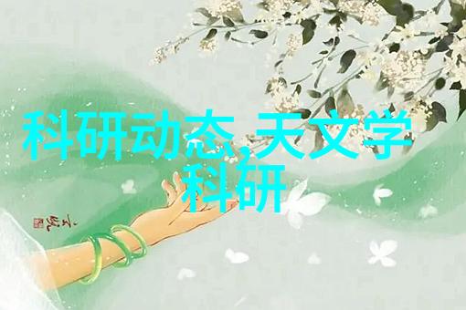 学术交流与实践项目天津中德应用技术大学的成功案例
