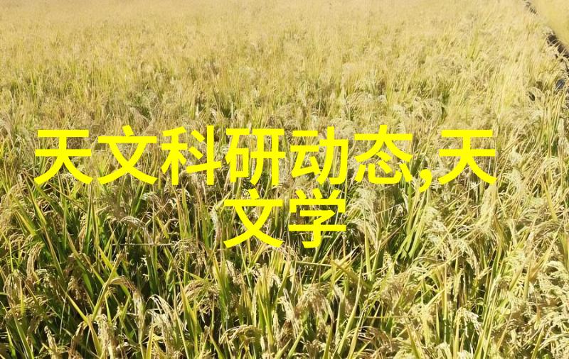 星辰变后传小说我是被遗忘的星辰子从尘埃中重燃希望
