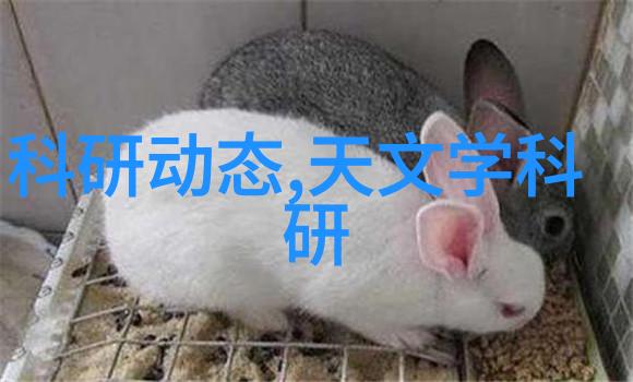 诱惑的轮廓性满足与BBW文化的探索