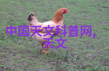 绿色循环探索回收设备的未来与科技革新
