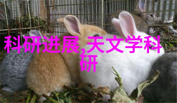 不锈钢丝网填料网绿色环保的选择