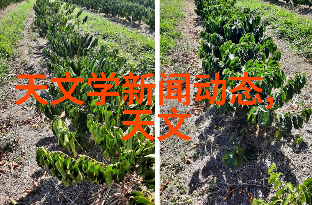 灭菌设备验证指南高效安全的医疗器械消毒方法