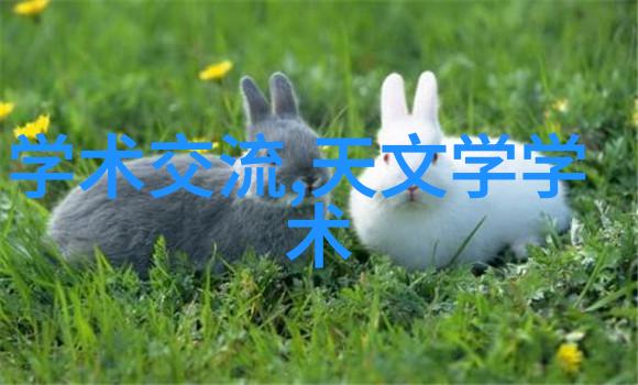 女性视角下的水利水电工程探索挑战与机遇的交汇点