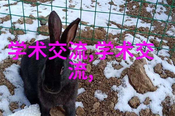 水质检测笔精准度考验科学揭秘水质测试笔的准确性