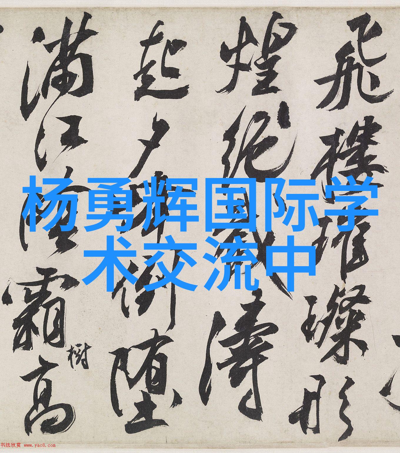 如何通过实验验证丝网填料750塔板的质量和性能