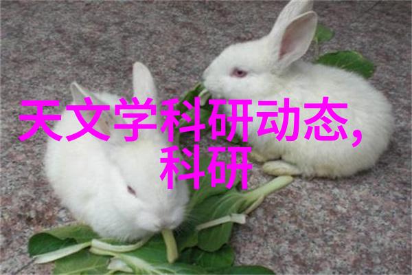 德爱威我是怎么学到的