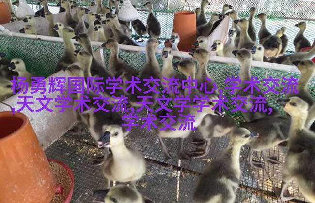 图3: 地面上看不见的地底工作