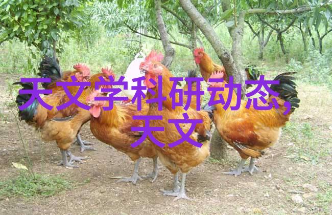 探索成功的内核儿子心中的梦想与追求
