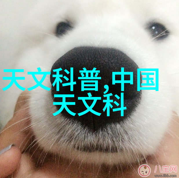 高效清洁系统的关键探索连续灭菌设备的核心组成