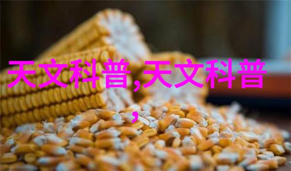 主卧室奢华装修效果图高端家居设计温馨舒适的生活空间
