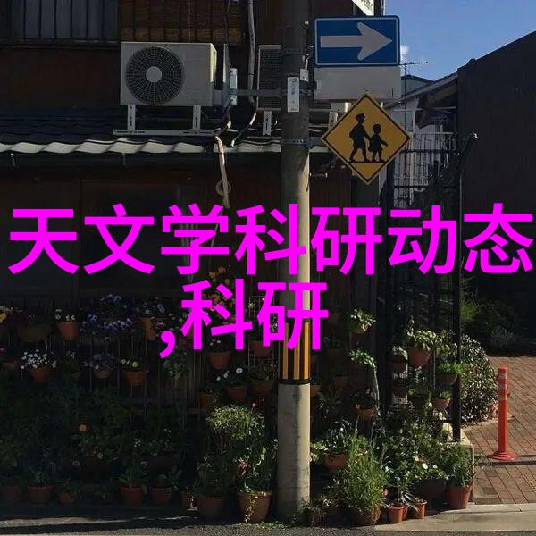 松岛枫全集日本流行音乐女王的经典作品