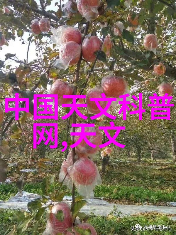 中国中车掬手新筑花股市波动画卷风云