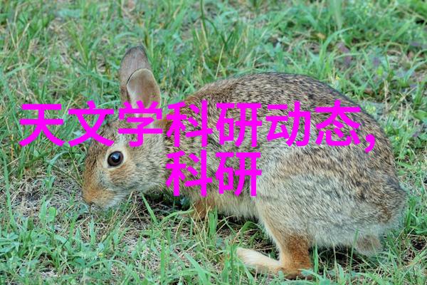 打造病毒大侠中国国产新冠特效药的奇迹之旅