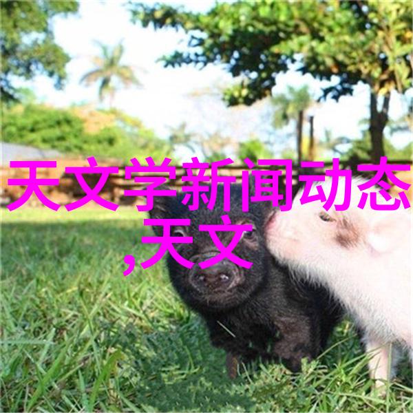 实验室电渗析设备高效实验室用电渗析系统