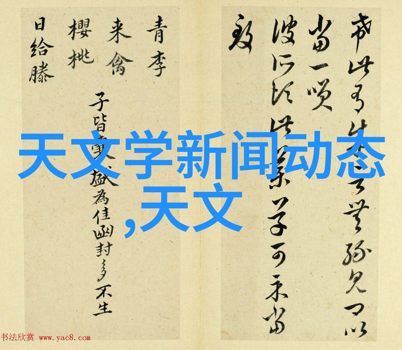 我和我的t型波纹填料