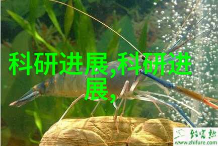 投资者如何制定有效的股票投资策略