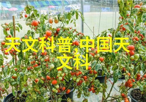 铜铝破碎分离机技术与应用概述