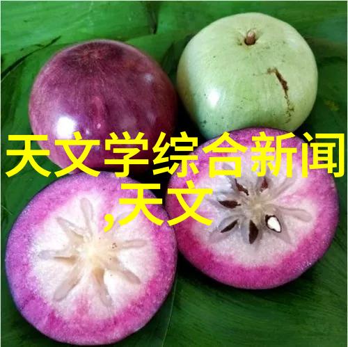 药品生产的关键深度探究制药设备与型号之谜