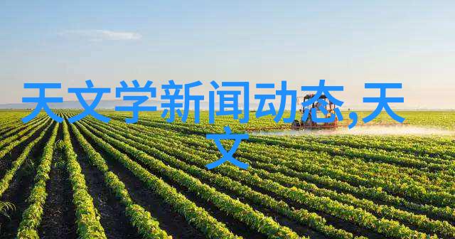JAPONENSISFES老师探索日本文化与教育的融合之道