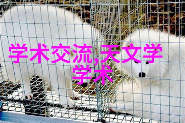 实木家具自然美学的选择