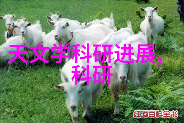 离心机的工作原理与应用高效分离系统