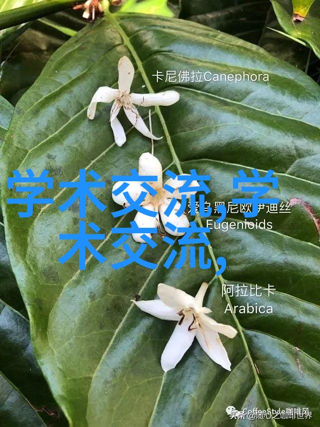 工业设备-高效稳定连续离心过滤机在工厂生产中的应用与优化