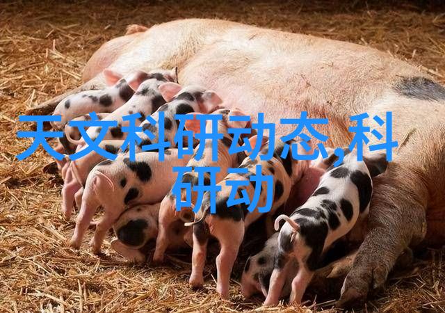 工程险情全解析揭秘工程项目中的各种风险与应对策略